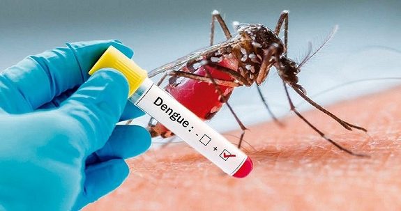 Sốt xuất huyết do vi khuẩn Dengue từ muỗi gây ra